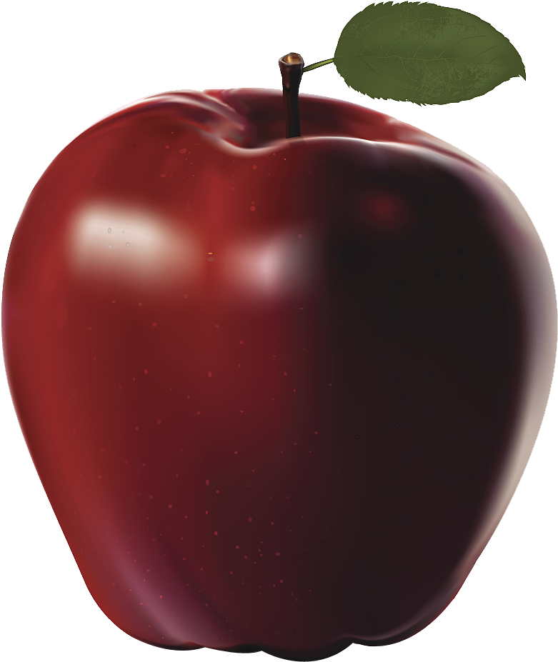 Apple Clip Art - Apple Clip Art (818x1024)