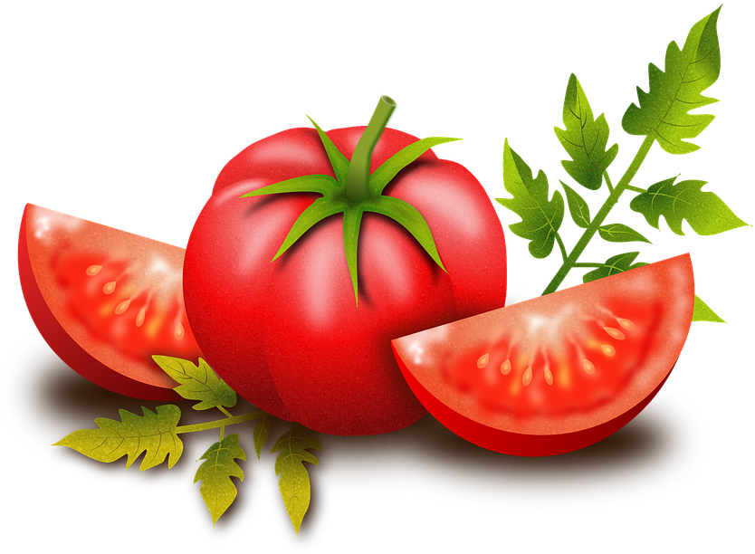Tomato Background Cliparts 14, Buy Clip Art - トマト 発芽 (891x720)