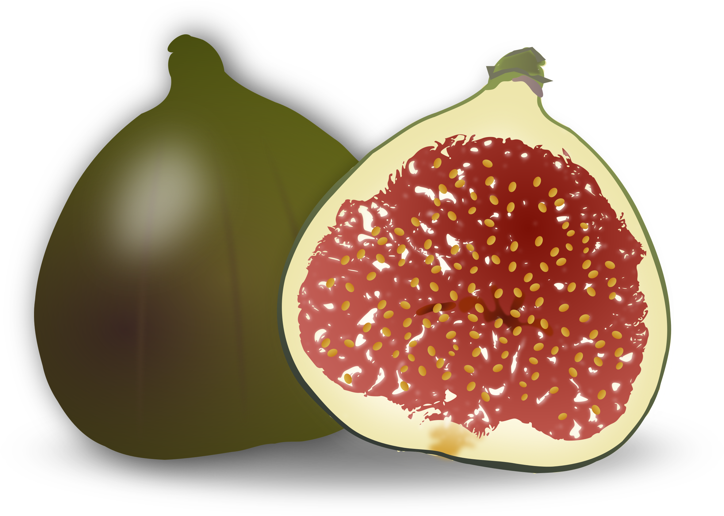 Tomatoes Clipart For Kids - Cartoon Pictures Of Fig (2400x1768)