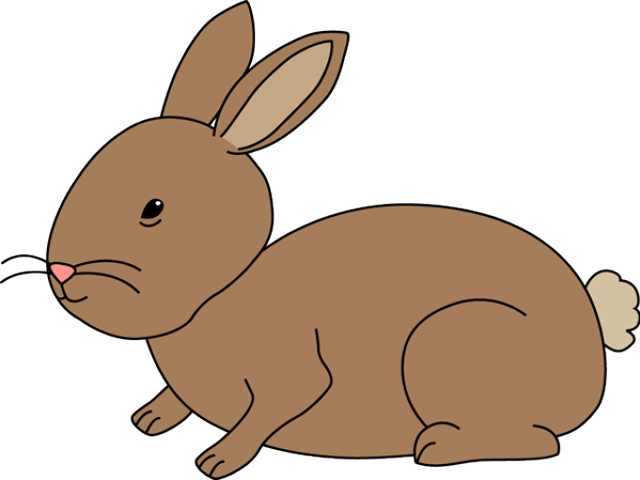 Hare Clipart Arnab - Rabbit (640x480)