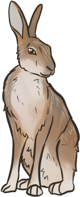 Flighty Hare Equi - Illustration (293x466)