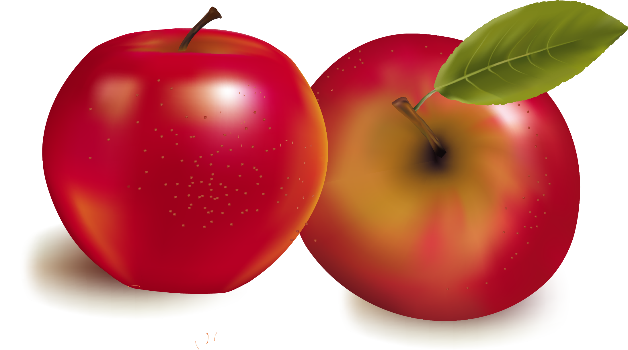 Fruit Royalty Free Stock Photography Illustration - Fruit Royalty Free Stock Photography Illustration (2206x1307)