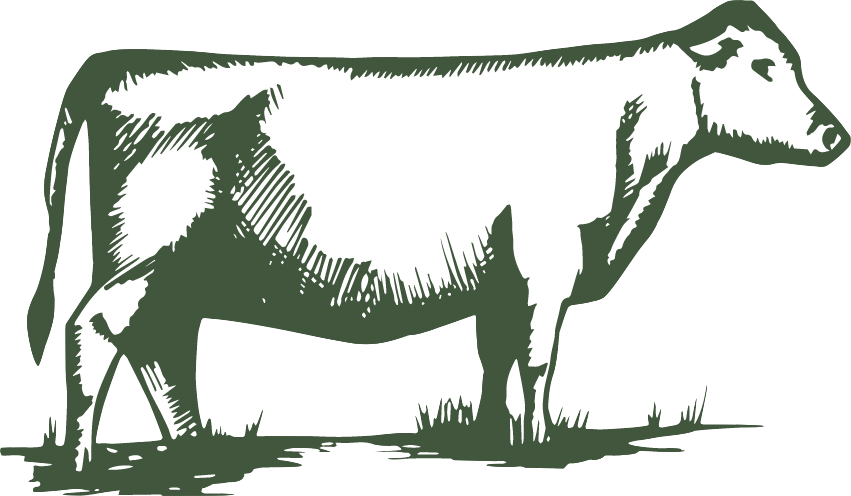 1 Pastured Beef Bundle - Silhouette (851x496)