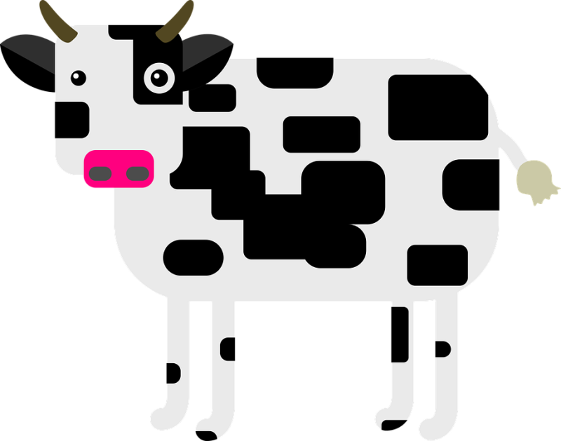 Pin Dairy Cow Clip Art - Clip Art (800x629)