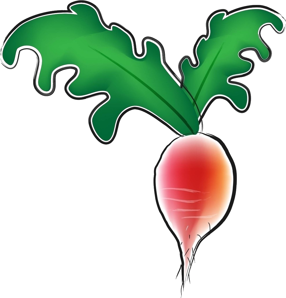 Daikon Vegetable Clip Art - Daikon Vegetable Clip Art (1393x1294)