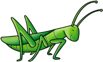 Cartoon Characters, Animals, And Plants - Cricket Animal Cartoon - (420x420) Png Clipart Download Cartoon Characters, Animals, And Plants - Cricket Animal Cartoon - (420x420) Png Clipart Download