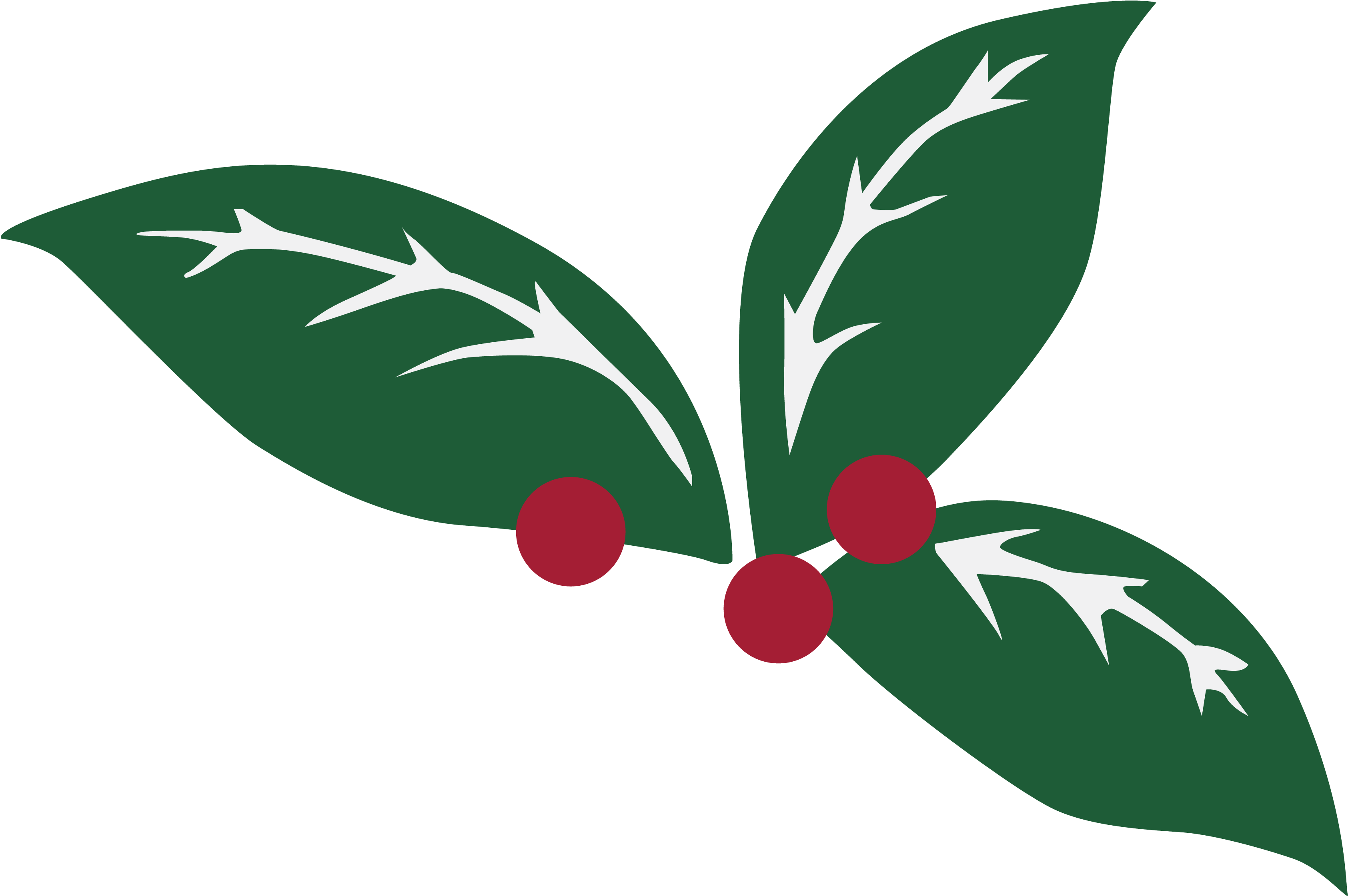 Wintergreen Leaf Cliparts - Wintergreen Northern Wear Llc (4167x4167)