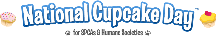 Bin Laden Dead Body (920x188)