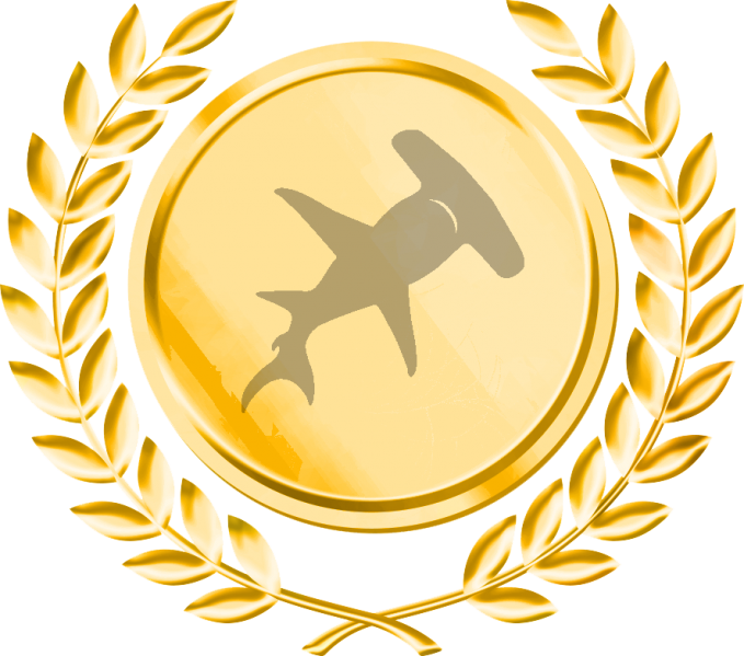 Gold Sponsoring - Gold Sponsoring (679x599)