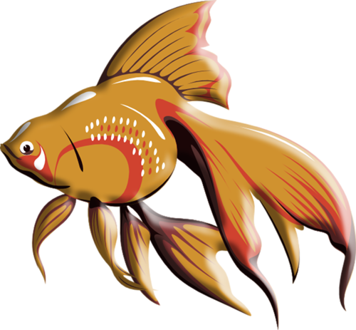Album - Fish Clip Art (500x463)