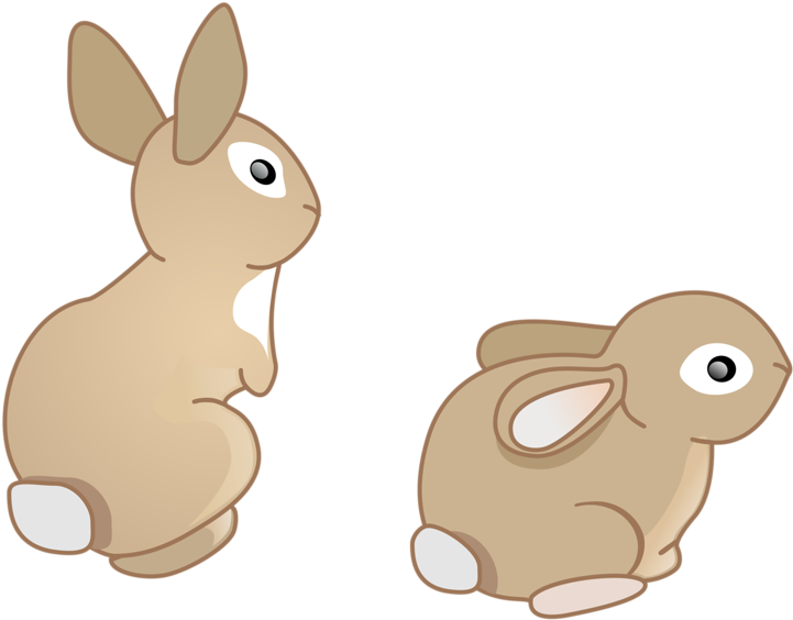 Doméstica Conejo Conejo Europeo De Dibujos Animados - Rabbit (800x645)