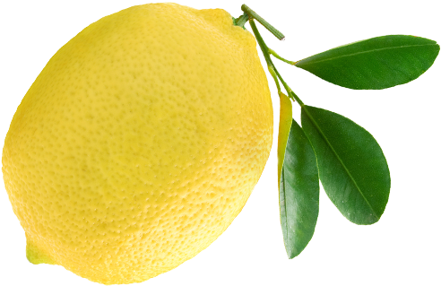 Other Fresh Scents Lemon - Vivere A Lungo Con L'aiuto Degli Agrumi - Haineault (500x500)