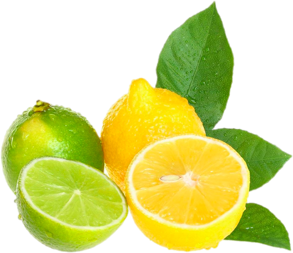 Juice Lemon Water Bottle Infusion - Juice Lemon Water Bottle Infusion (1000x839)