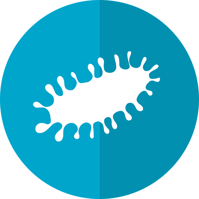 Peptic Ulcer Disease - Ikon System (639x640)