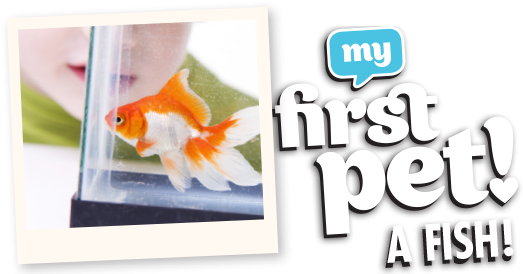 My First Fish - Garibaldi (fish) (942x280)