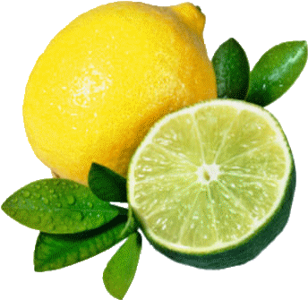 Lemon & Lime Bar - Lemons And Limes Png (350x350)