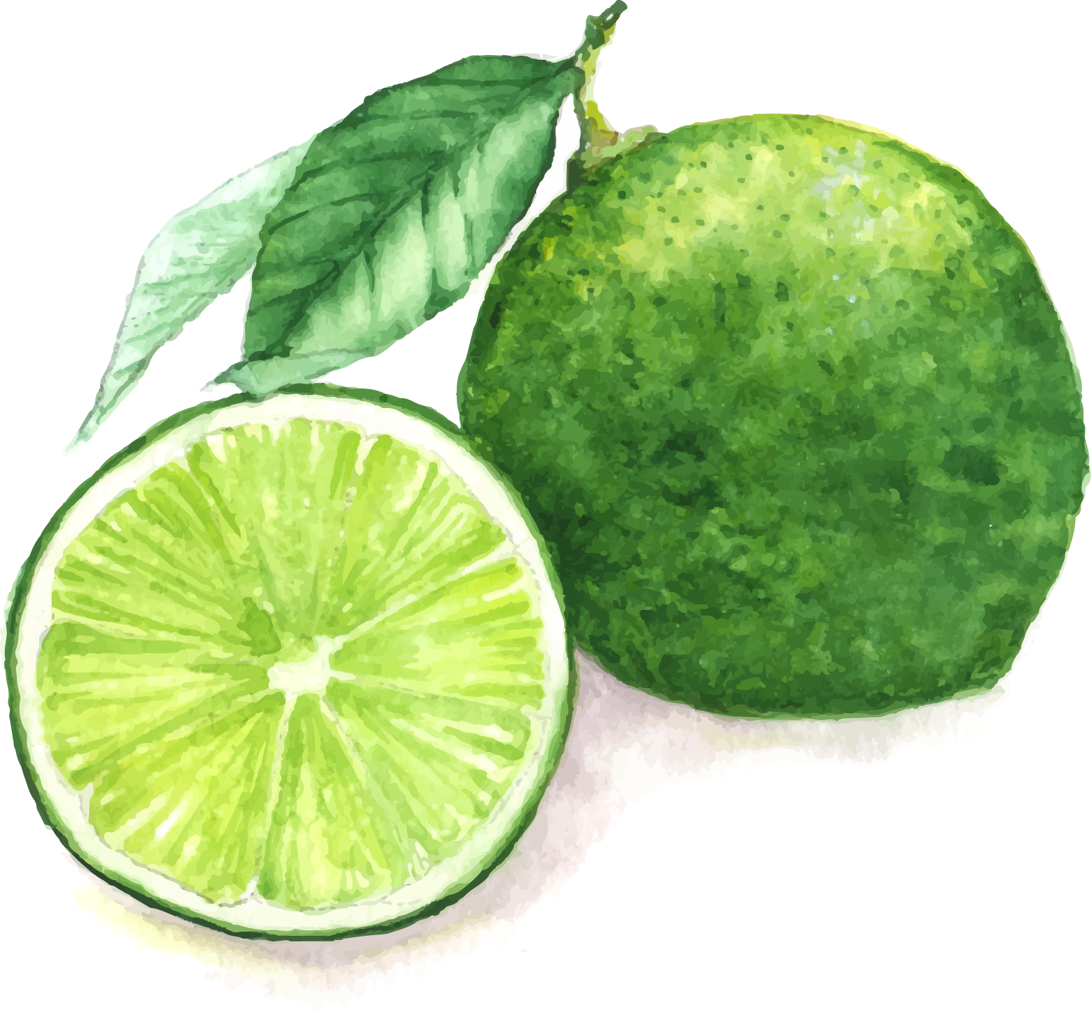Juice Lemon Watercolor Painting Lime - Lime Drawing Png (1567x1452)
