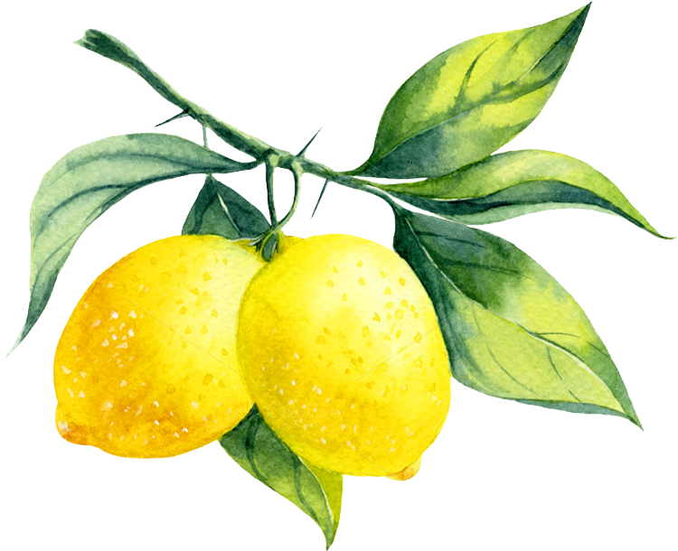 Lemon - Lemon Branch (1000x666)