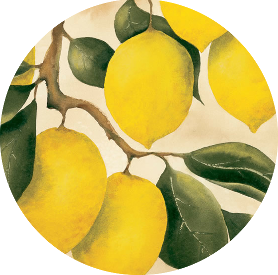 The Lemon Orchard - Lemon Orchard Alex La Guma (560x555)