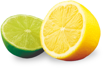 Lemon & Lime - Sweet Lemon (527x340)