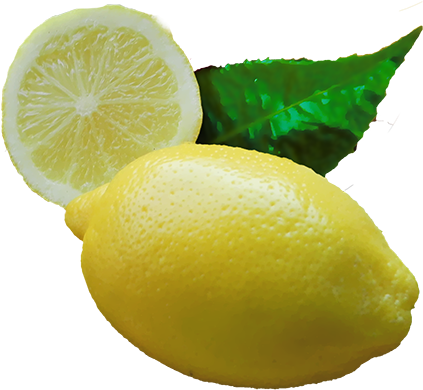 Lemon Juice Freezes Well, As Do Peeled And Sectioned - Lemon Juice Transparent (555x504)