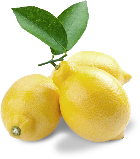 Russel & Co - Portable Network Graphics (484x548)