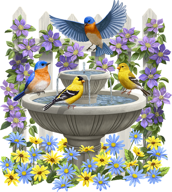 Birds And Birdbath Painting T-shirt For Sale By Crista - Bits And Pieces Fountain Festivities 500 Piece Jigsaw (600x670)