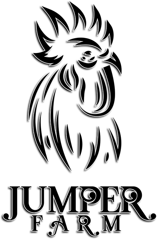 Saddle Feathered Bird With A Black Chest - Illustration (800x800)