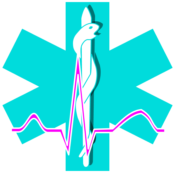 Paramedic Emergency Medical Technician Clip Art - Paramedic Emergency Medical Technician Clip Art (600x592)