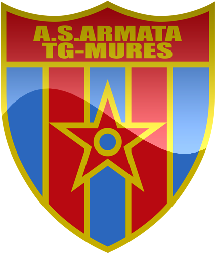 Asa 2013 Târgu Mureș (500x500)