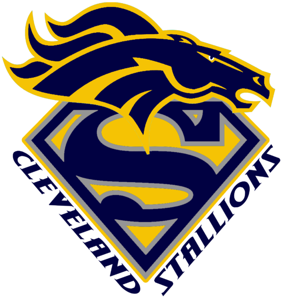 The Cleveland Stallions Offer Football & Cheerleading - Happy Birthday Strong Woman (600x600)