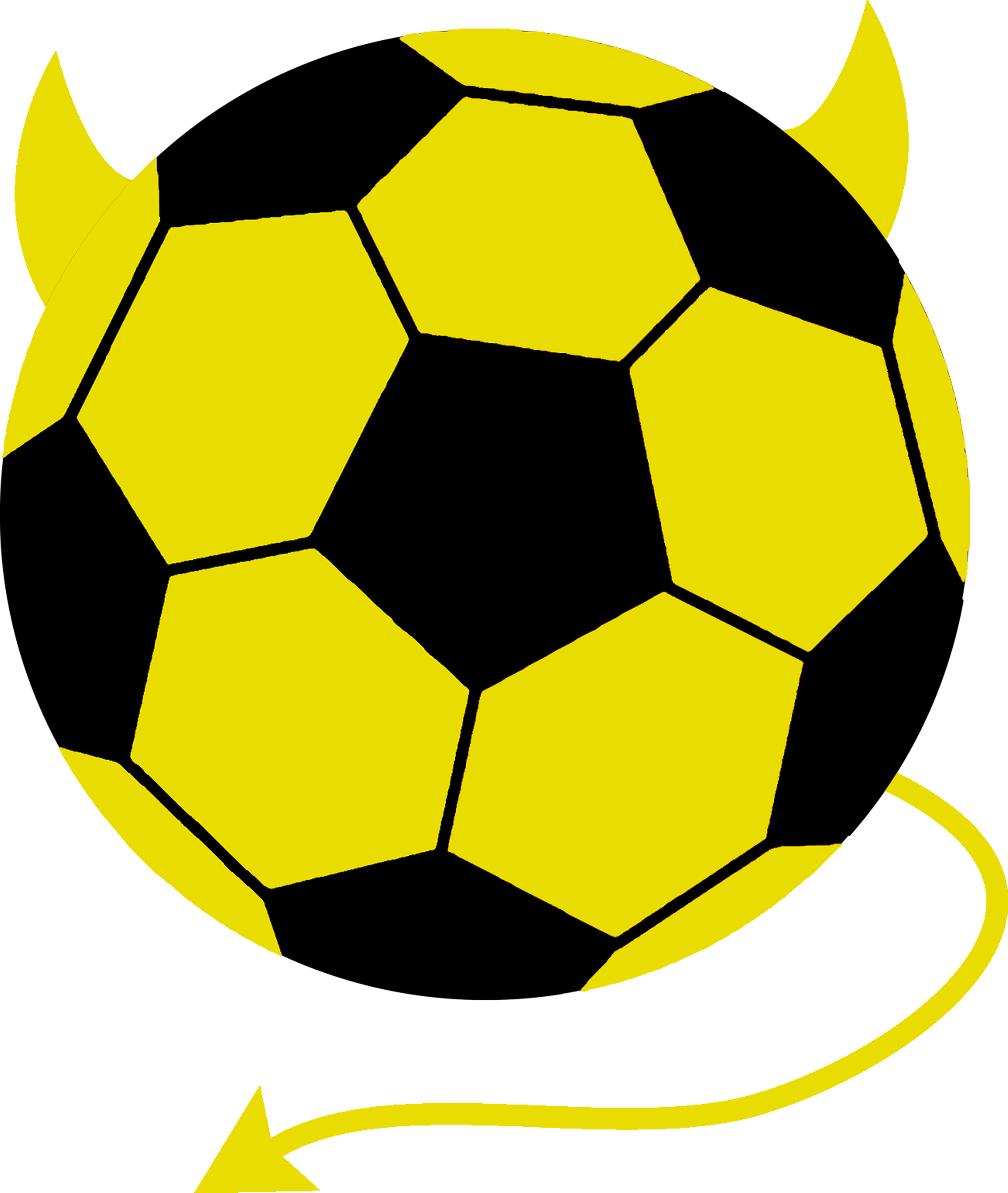 Ghana National Football Team (2966x3508)