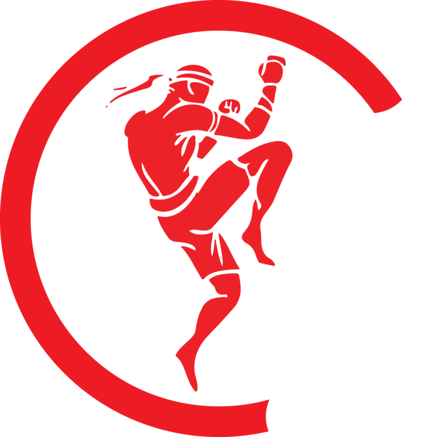 Raja Web 2017 - Martial Art Logo Png (910x900)