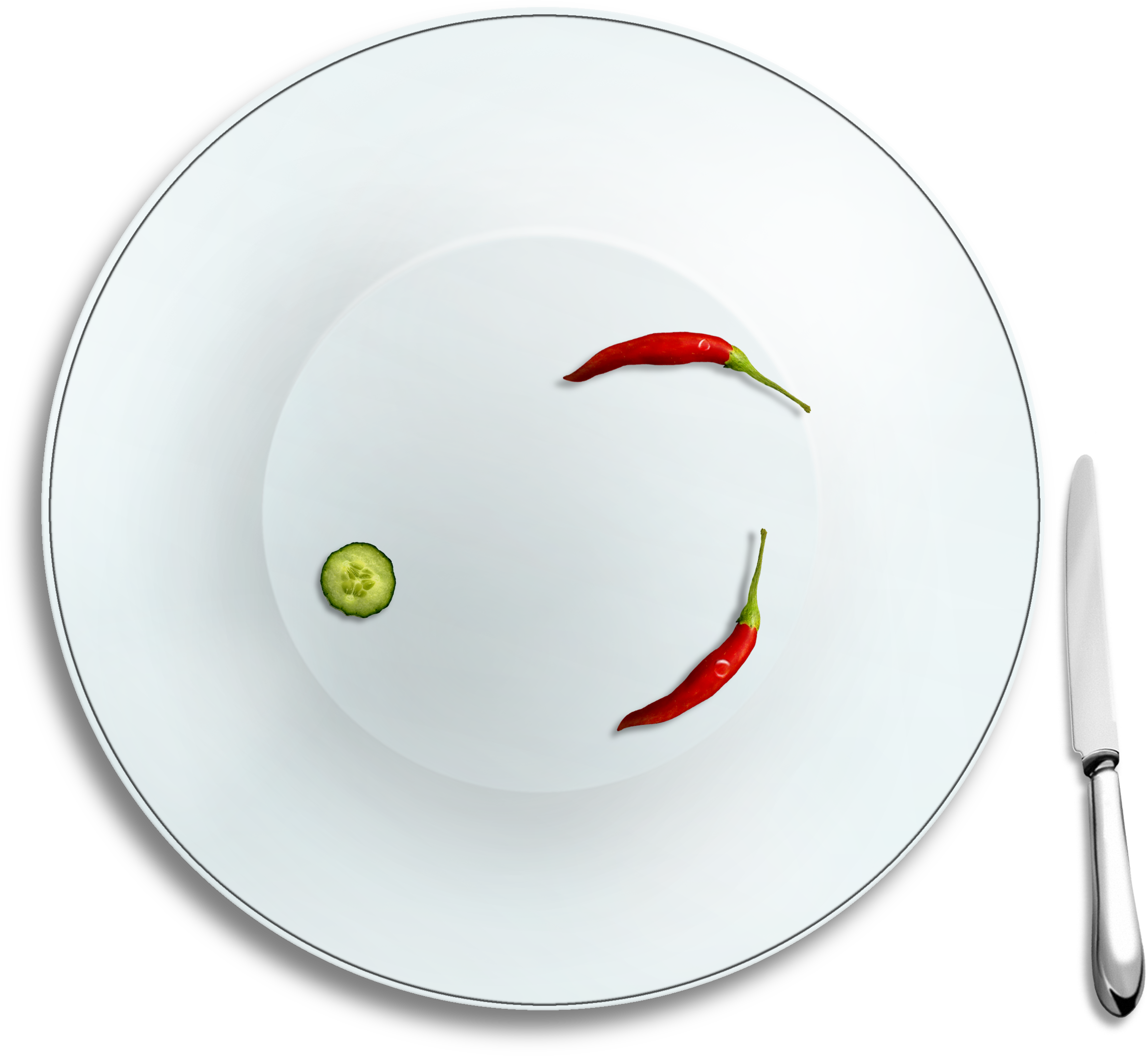 White Fine Plate - White Fine Plate (3071x2200)