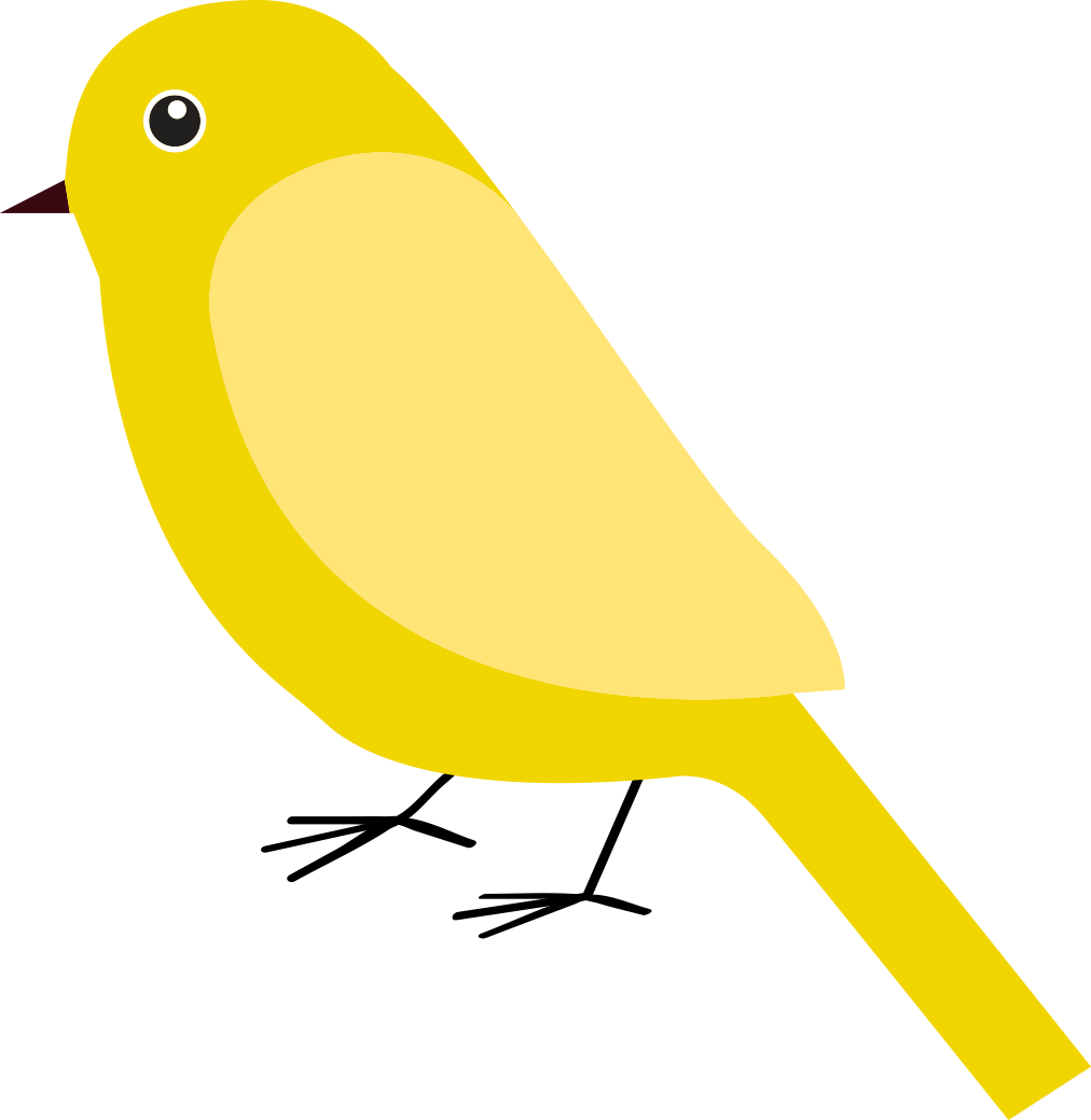 Parakeet (1012x1040)