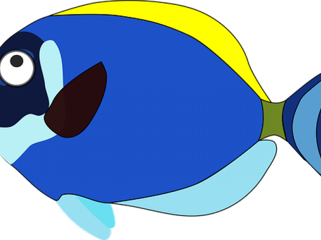 Related Cliparts - Cartoon Fishes (640x480)