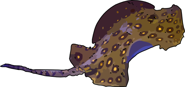Sting Ray Transparent Gif (600x282)
