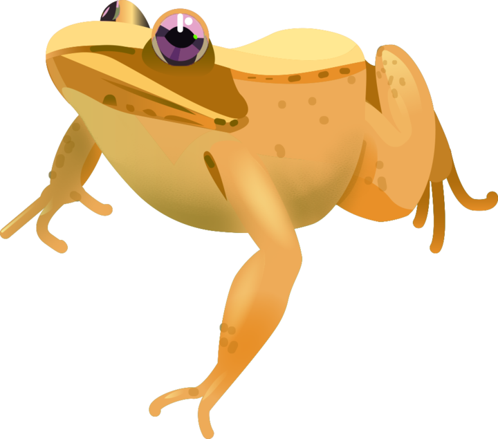 This Is A Buncee Sticker - Bufo (720x635)