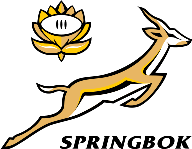 South Africa Rugby World Cup Schedule Matches Timings - South Africa Rugby Logo (400x310)
