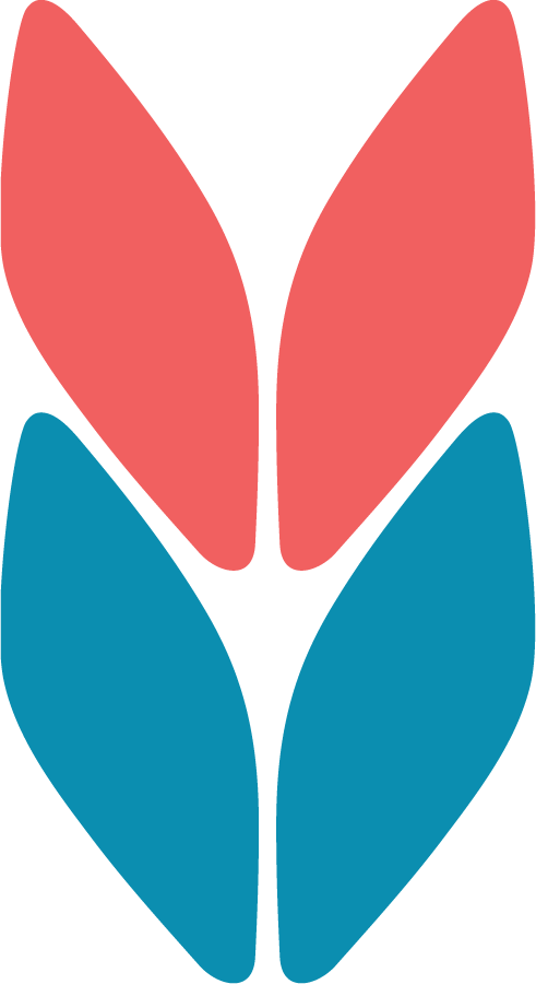 Fancywork Yarn Shop - Fancywork Yarn Shop (491x900)