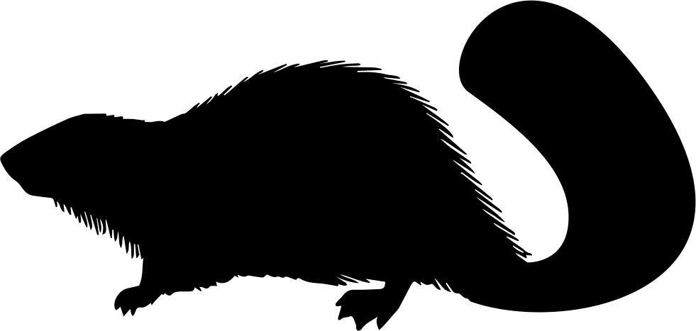 Beaver Transparent Png Images Free Download 020 - Beaver Silhouette Png (981x467)