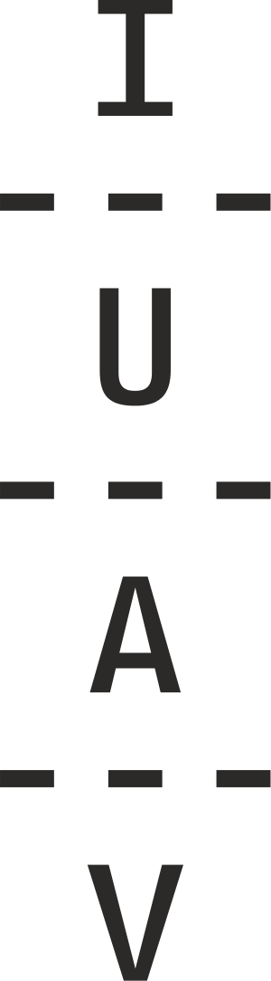 Università Iuav Di Venezia - World Wide Web (300x1084)