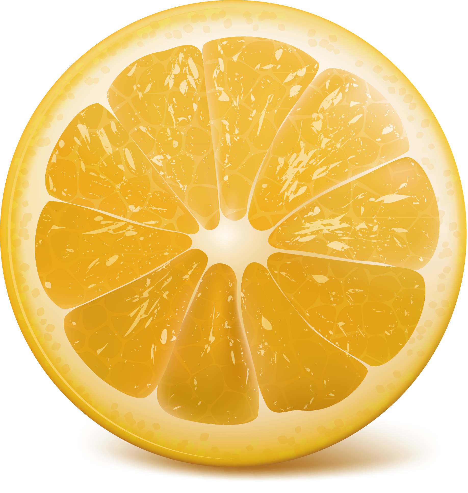 Lemon Orange Clip Art - Lemon Sliced (1836x1931)