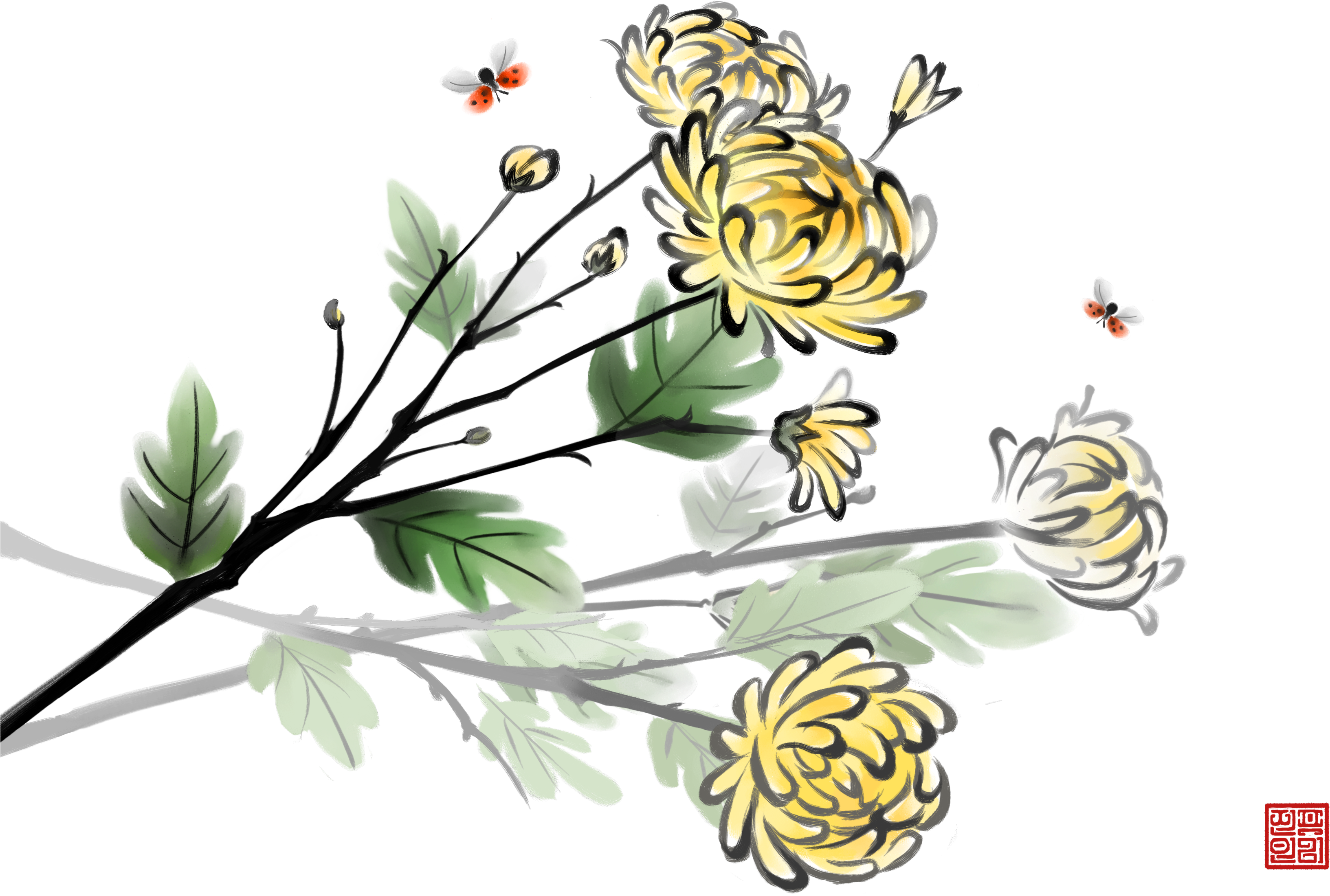 Chrysanthemum Xd7grandiflorum Ink Wash Painting Double - Chrysanthemum Xd7grandiflorum Ink Wash Painting Double (3425x2480)