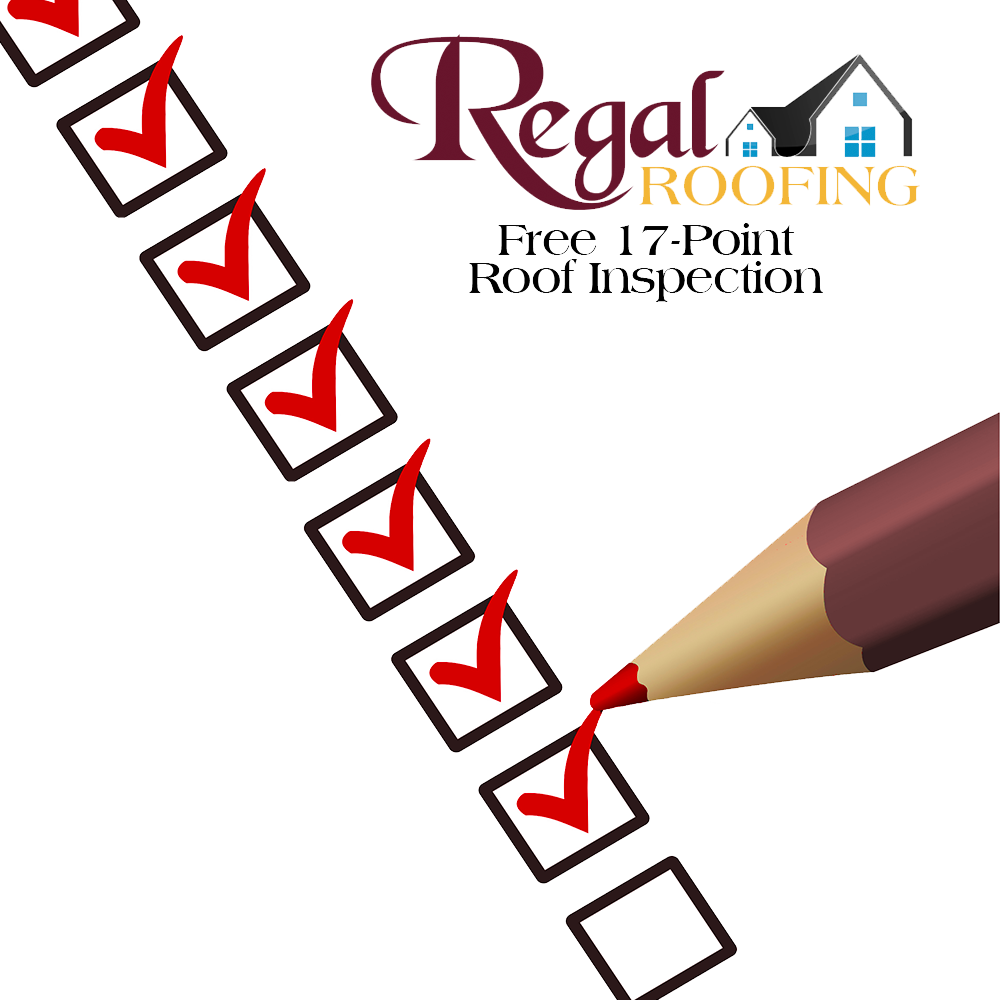 Inspection (1000x1000)