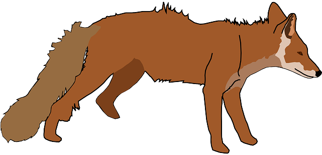 Tail White, Orange, Fox, Long, Standing, Animal, Tail - Fox Clip Art (640x320)