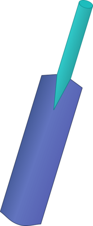 Cricket - Clipart Of Criket Bat (300x727)