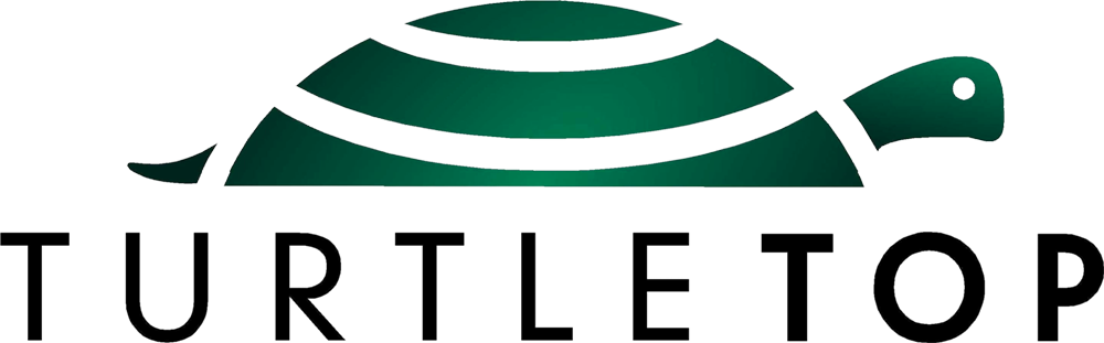 Turtle Top Logo - Turtle Top (1000x311)