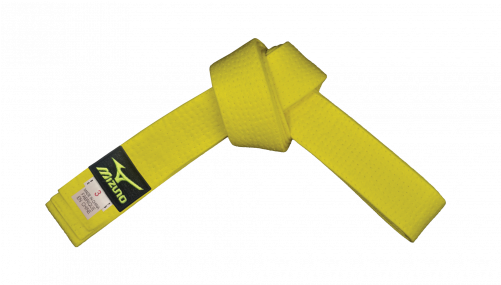 Mizuno Yellow Belt$9 - Plastic (500x500)