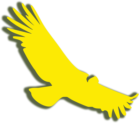 Come Feel The Power Of Nature - Golden Eagle (500x433)